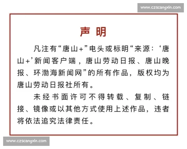 掌声雷动中绽放的精彩瞬间与难忘回忆记录