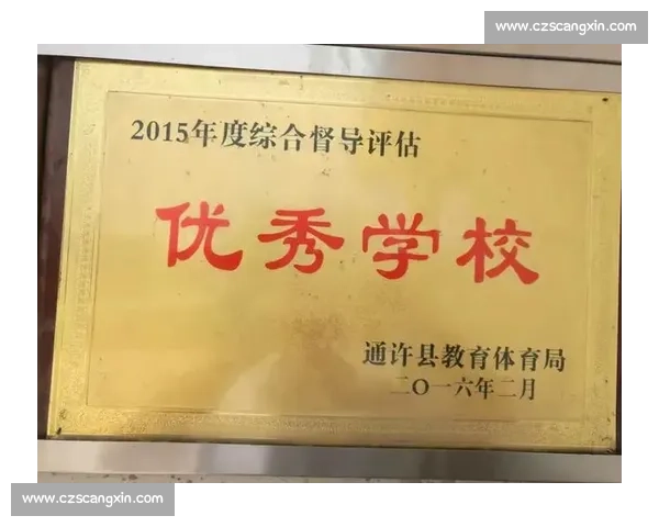 基于体育竞赛表现的综合评估与能力提升研究 基于体育竞赛表现的综合评估与能力提升研究