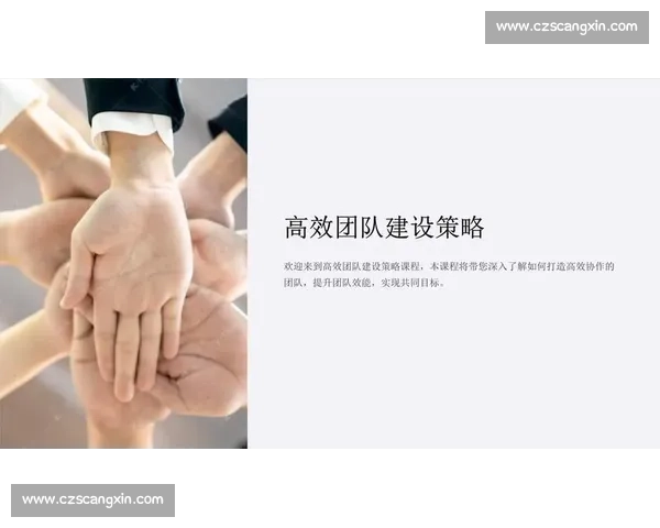 体育团队领导力提升策略与实践创新研究分析 体育团队领导力提升策略与实践创新研究分析